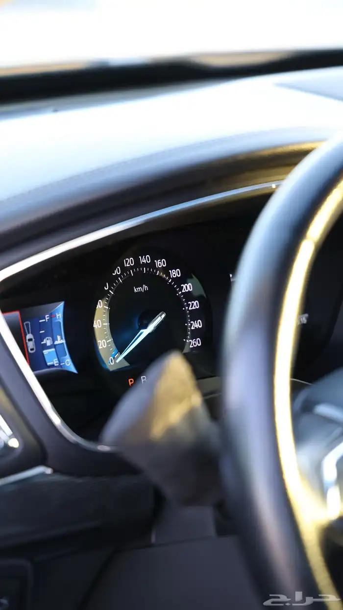 ترند Plus .. وكالة (( تم البيع )) 19