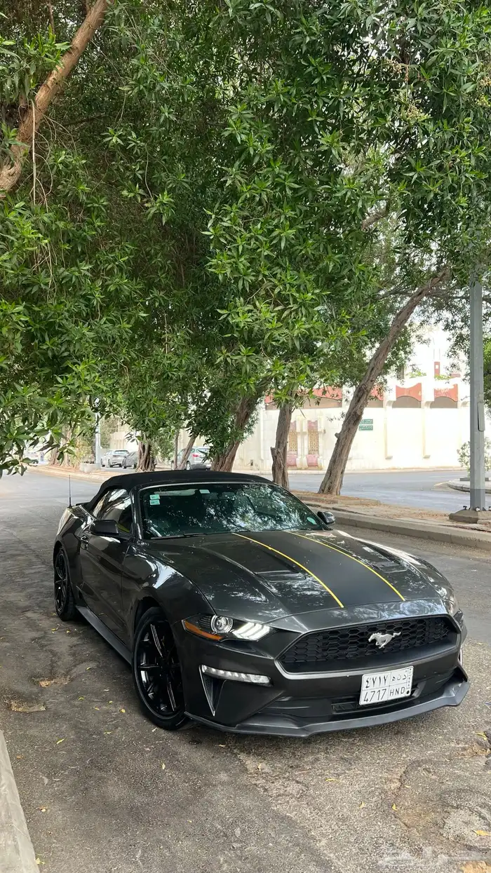 موستنق 2018 كشف مالك اول 11