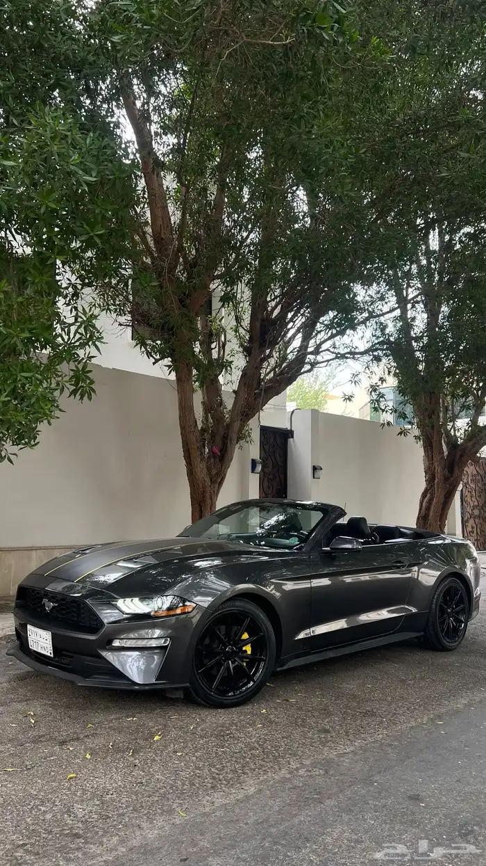 موستنق 2018 كشف مالك اول 6