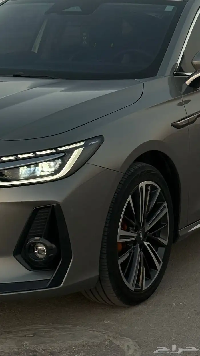 شيري اريزو 8 2025 14