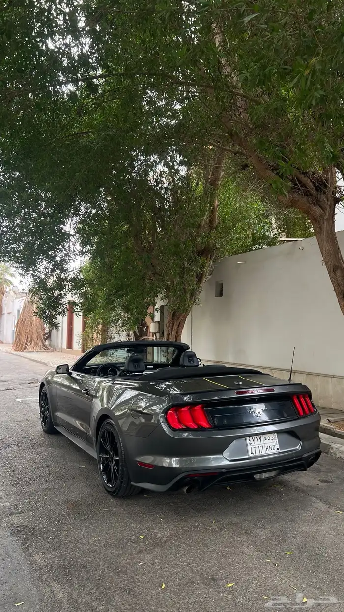 موستنق 2018 كشف مالك اول 9