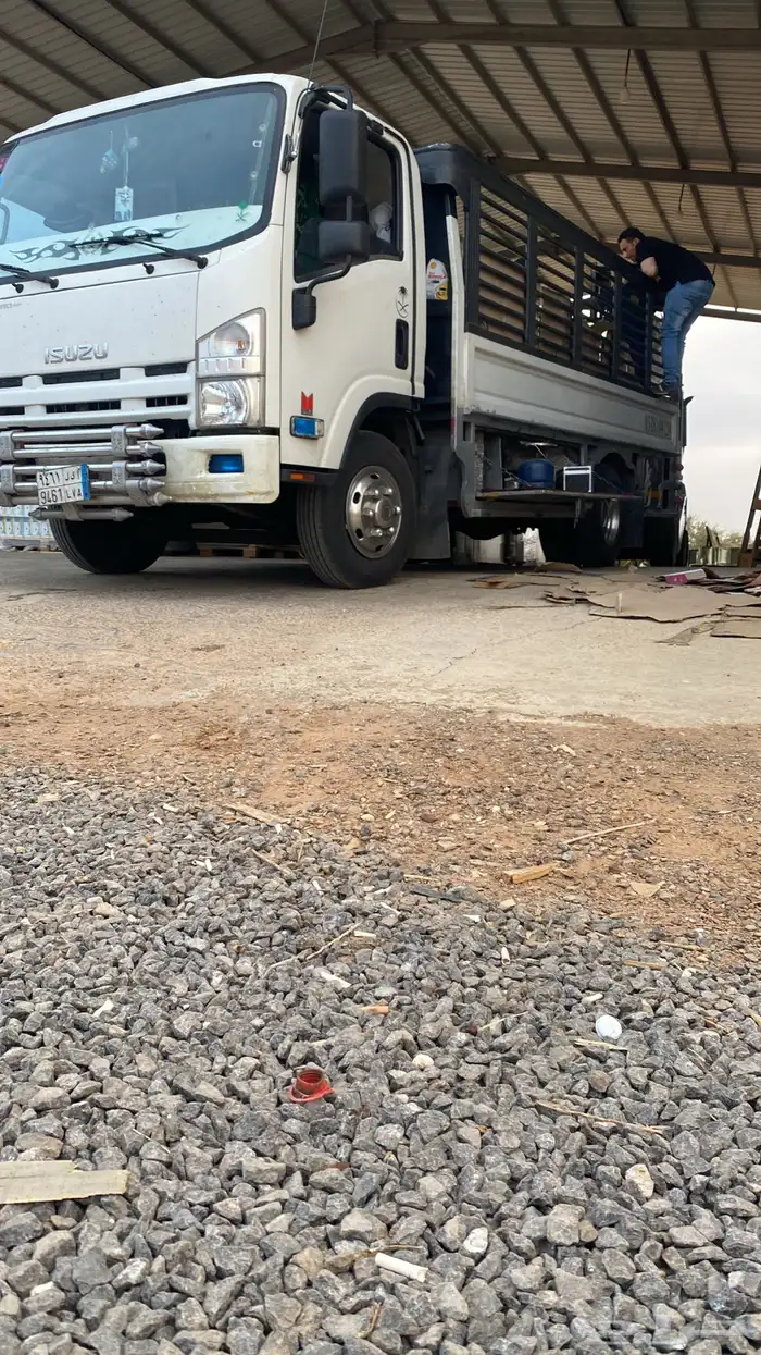 دينه للاجار الشهري ول يومي 0