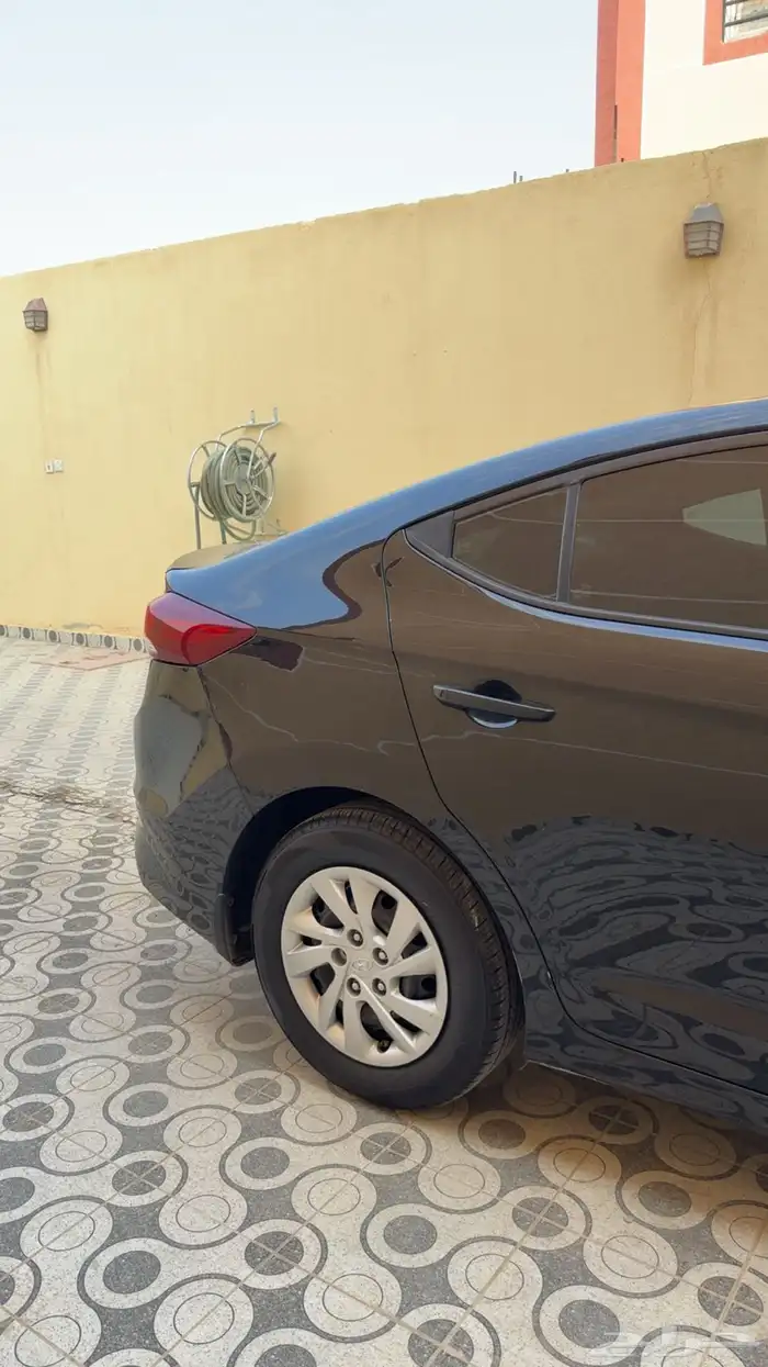 الانترا 2017 13