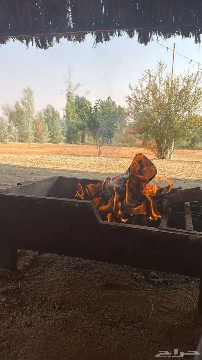 مزرعة للايجار خبة النقع يومي عرض الويكند كامل ب450 14