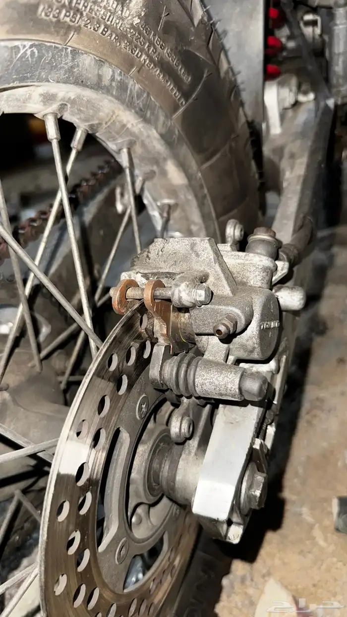 دباب صحراوي 85 بدون اوراق 0