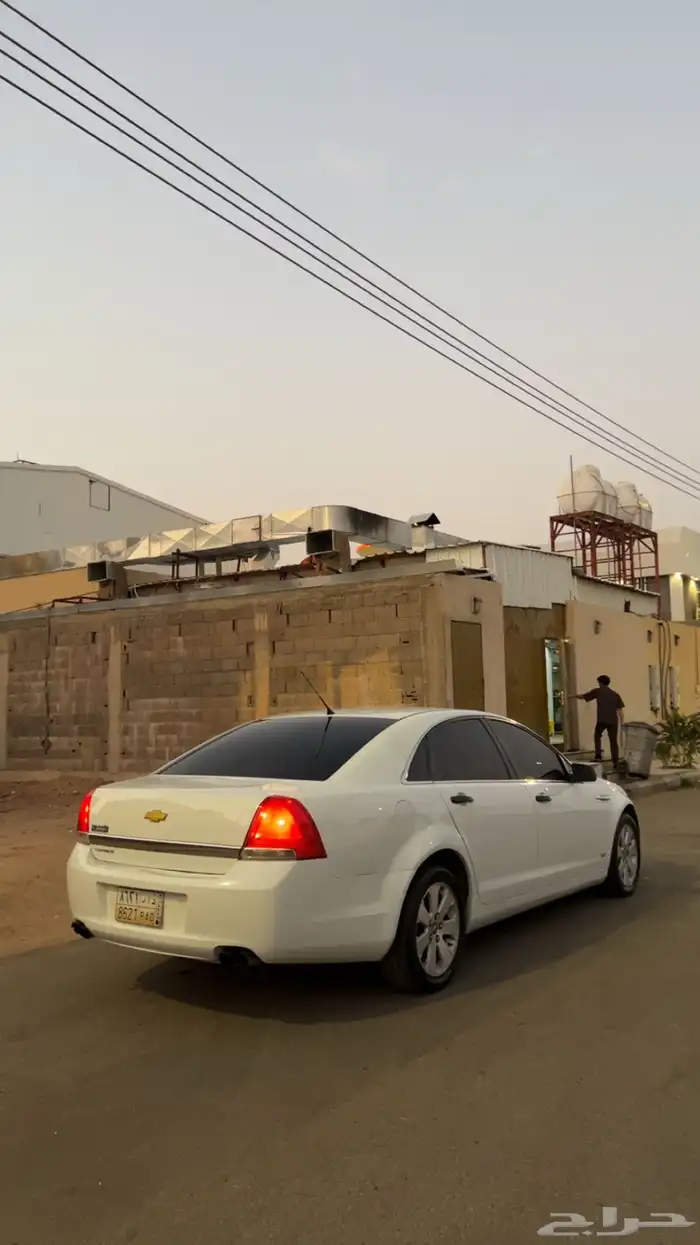 كابرس للبيع 3