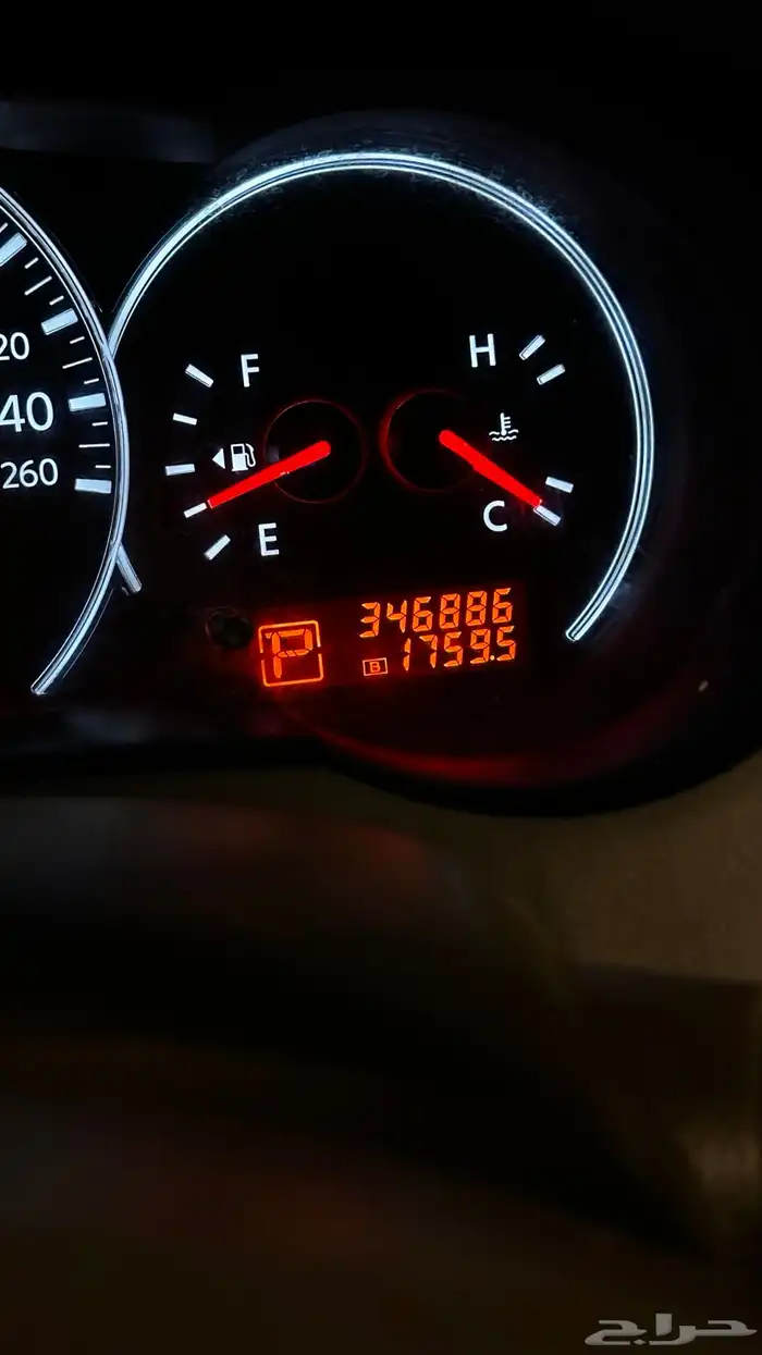 التيما 2010 13