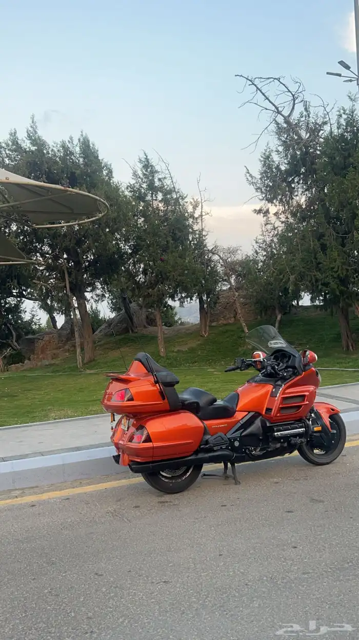 قولد وينق 2002 نظيف 2