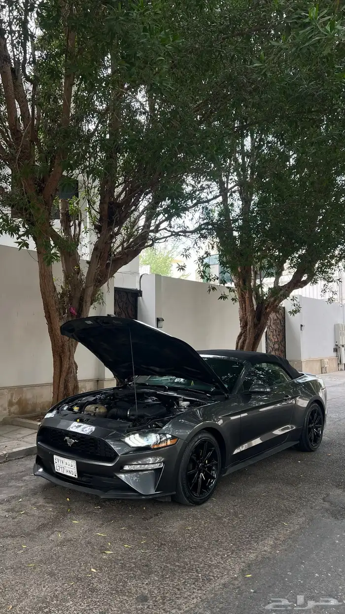 موستنق 2018 كشف مالك اول 19