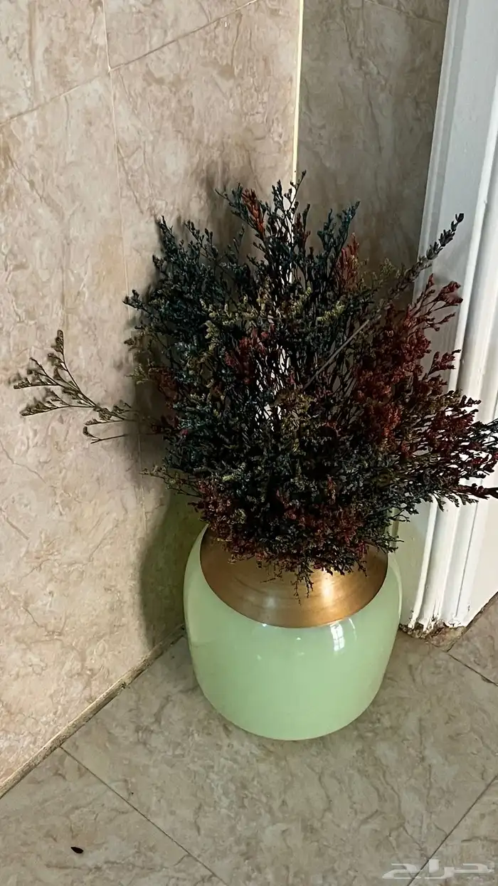 طاوله جلسة خارجيه من ساكو وشجر زينه واغراض مواعين 2