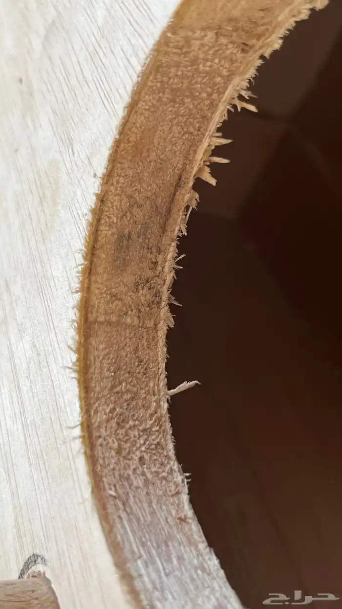 مستلزمات طيور إبر غر ونشاره وماكليات وعظم حبار وبياضات 11