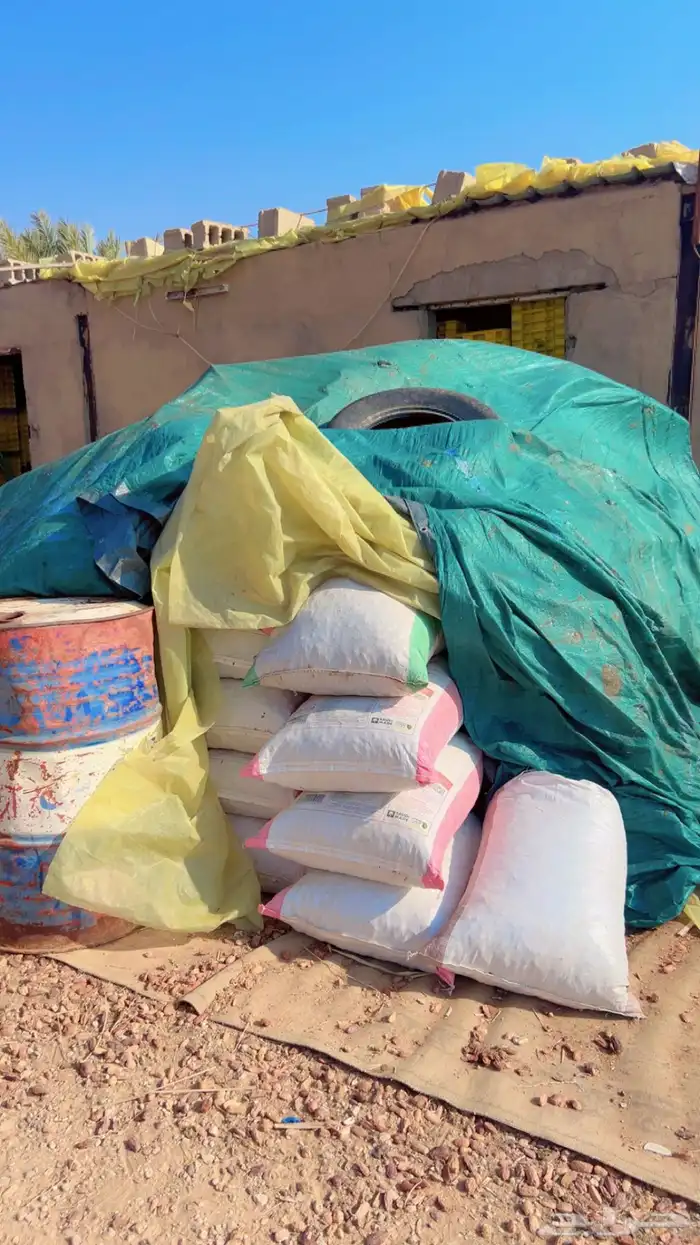 تمر نضيف وناشف علف حلال 0