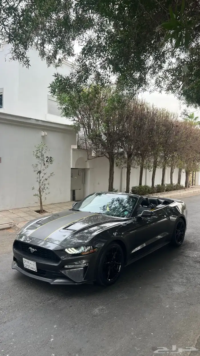 موستنق 2018 كشف مالك اول 2