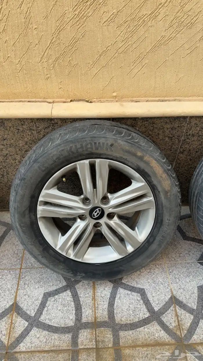 جنوط مجدوعي للبيع 2