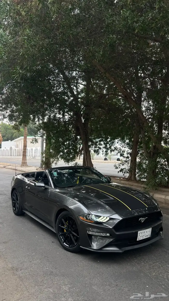 موستنق 2018 كشف مالك اول 0