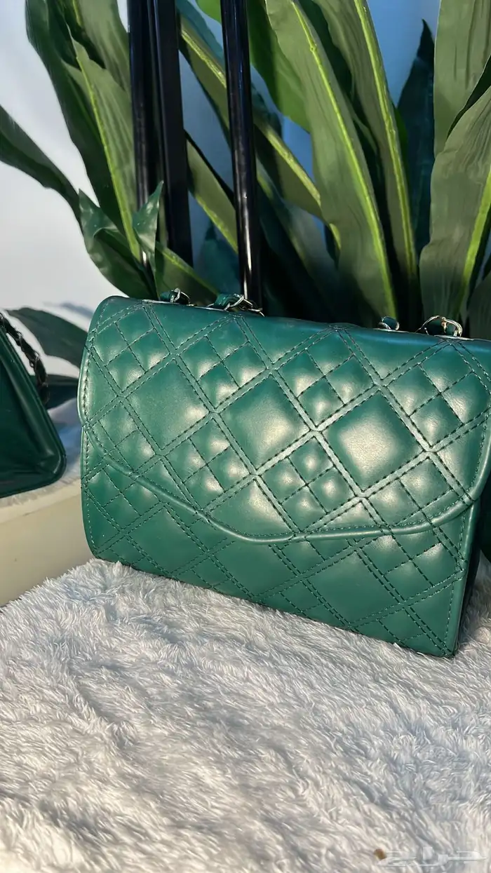 جميع الاشناط 35 ريال فقط بيع ربع درزن ونص وبالدرزن 57