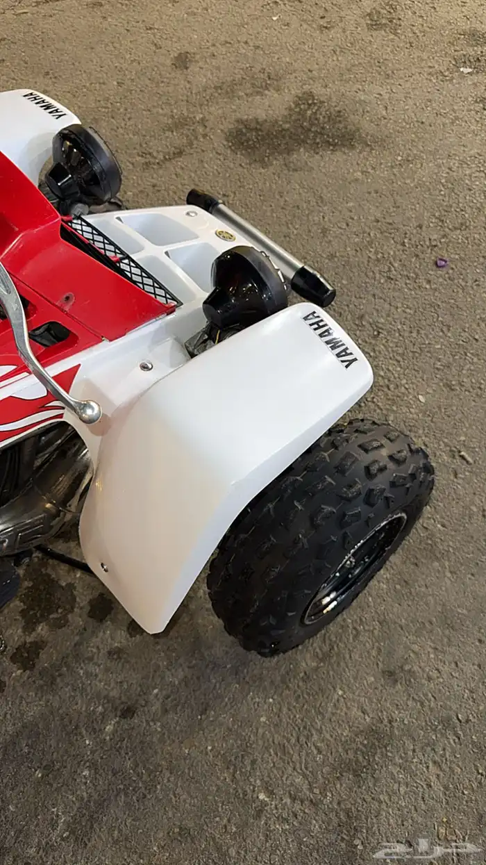 دباب بانشي 7