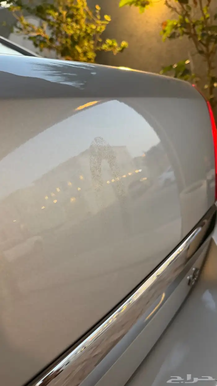 كابرس 2013 LS فضي بلد . 9