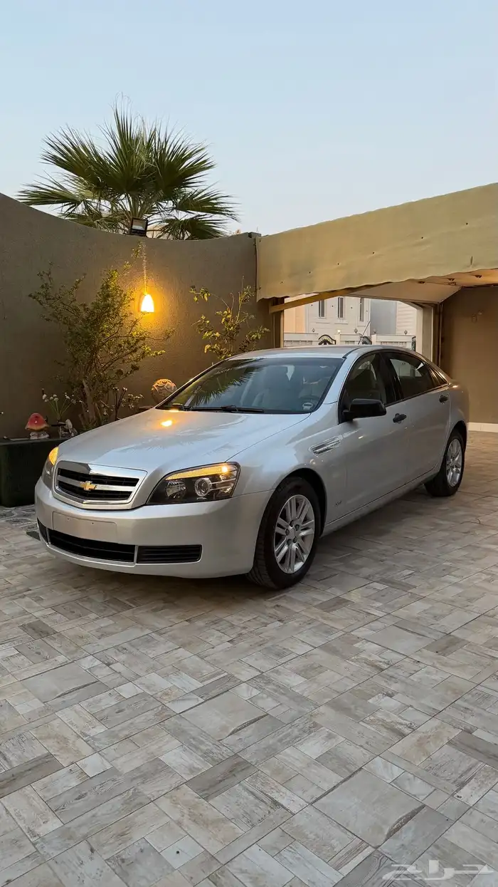 كابرس 2013 LS فضي بلد . 0