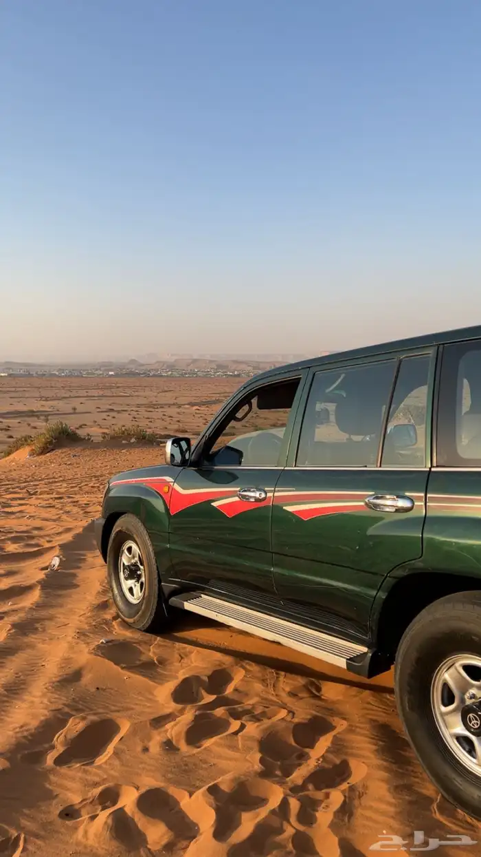 جكس 98 شد بلاده اللون عشبي 2