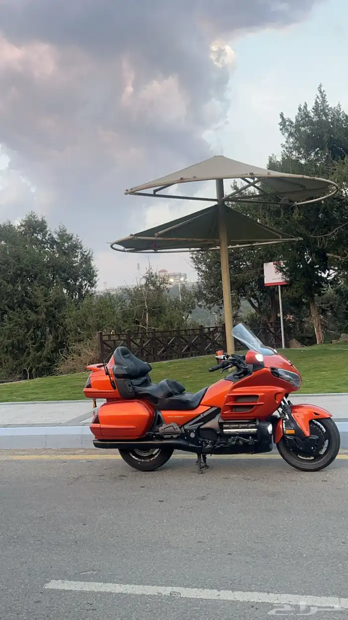 قولد وينق 2002 نظيف 3