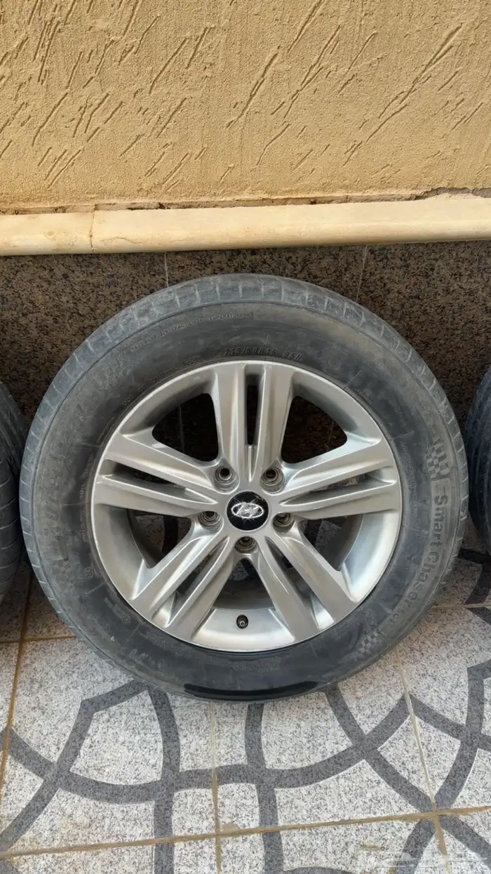 جنوط مجدوعي للبيع 0