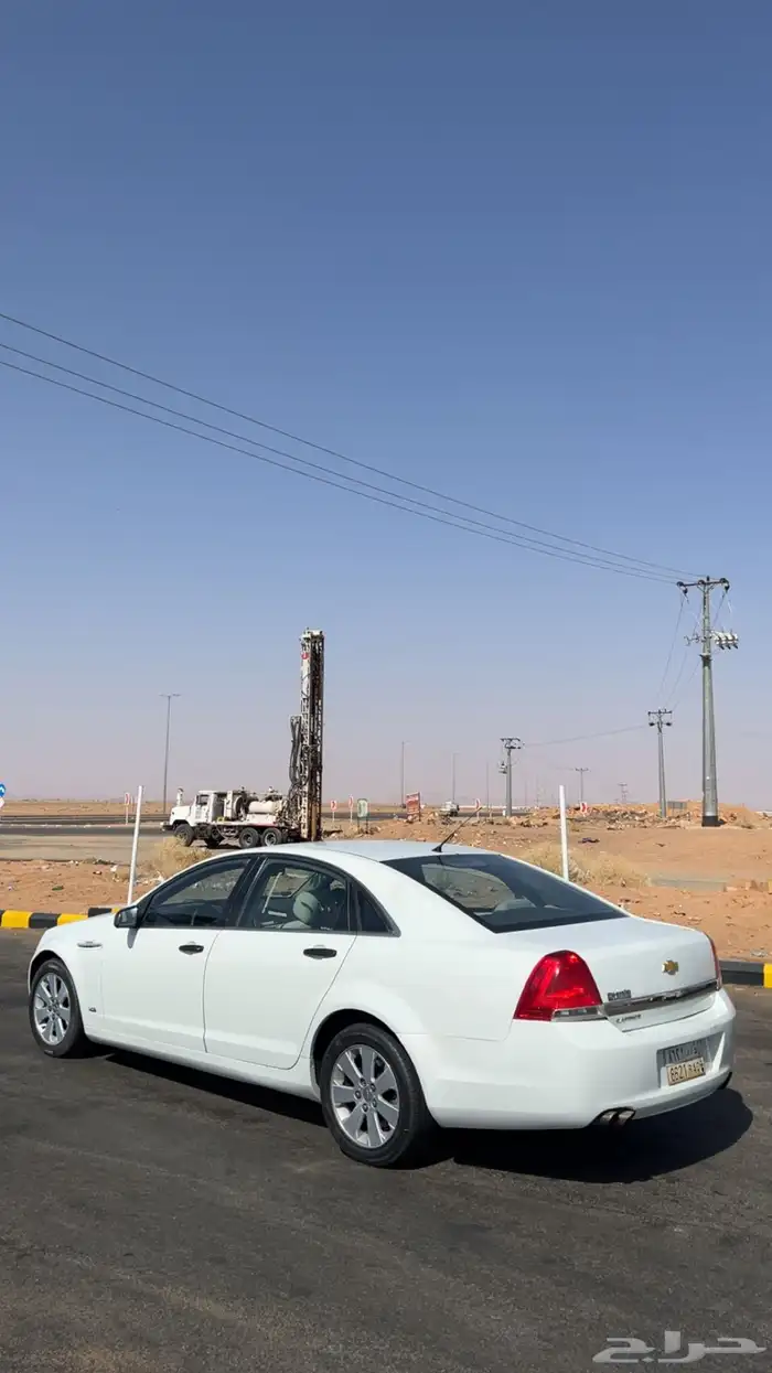 كابرس للبيع 11