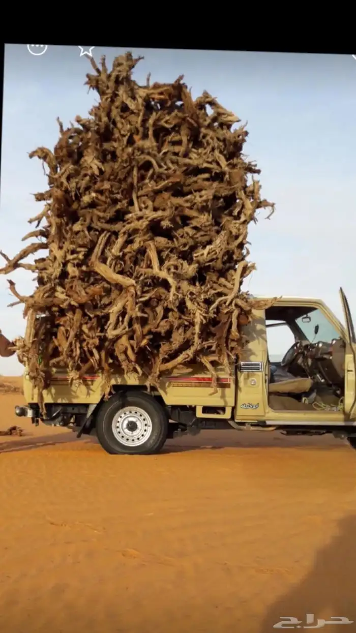 عرضلكم دفايه حطب 0