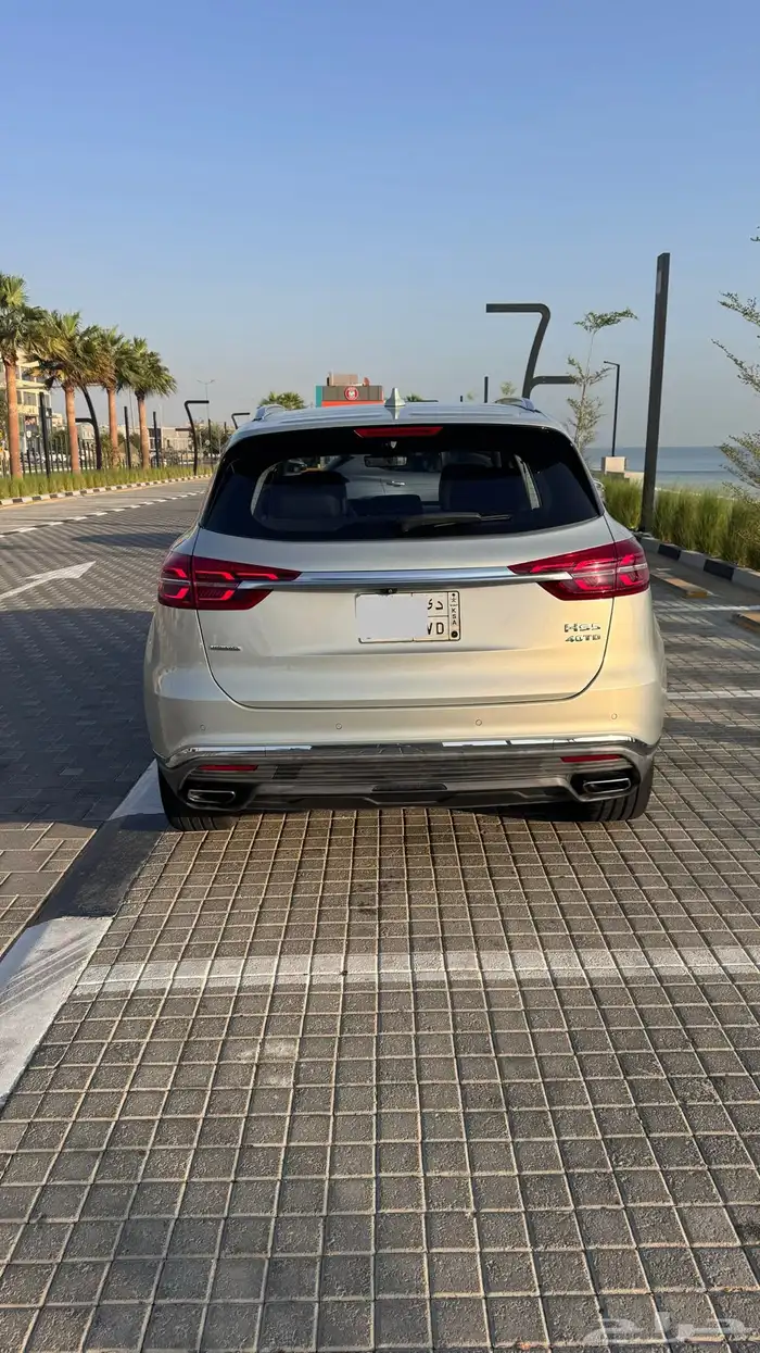 هونشي HS5 2022 12