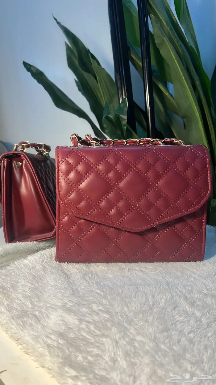 جميع الاشناط 35 ريال فقط بيع ربع درزن ونص وبالدرزن 30