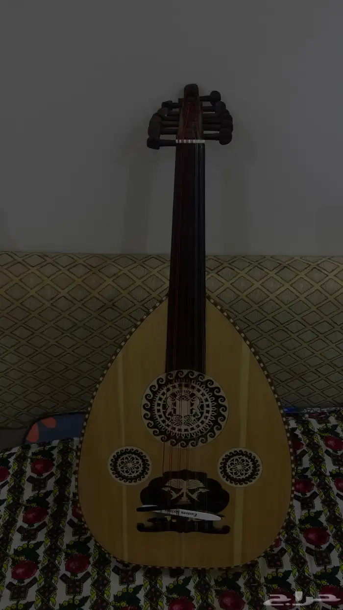 عود مصري للبيع 4