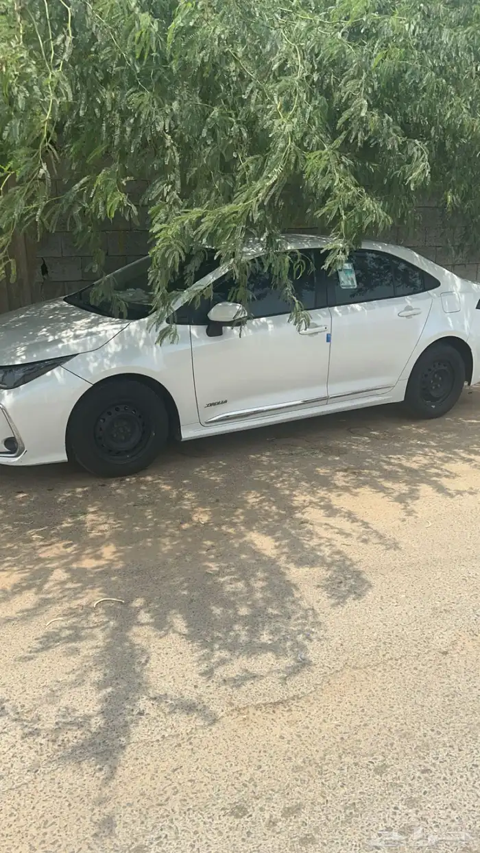 كورولا 2021 للتنازل بمقابل 1