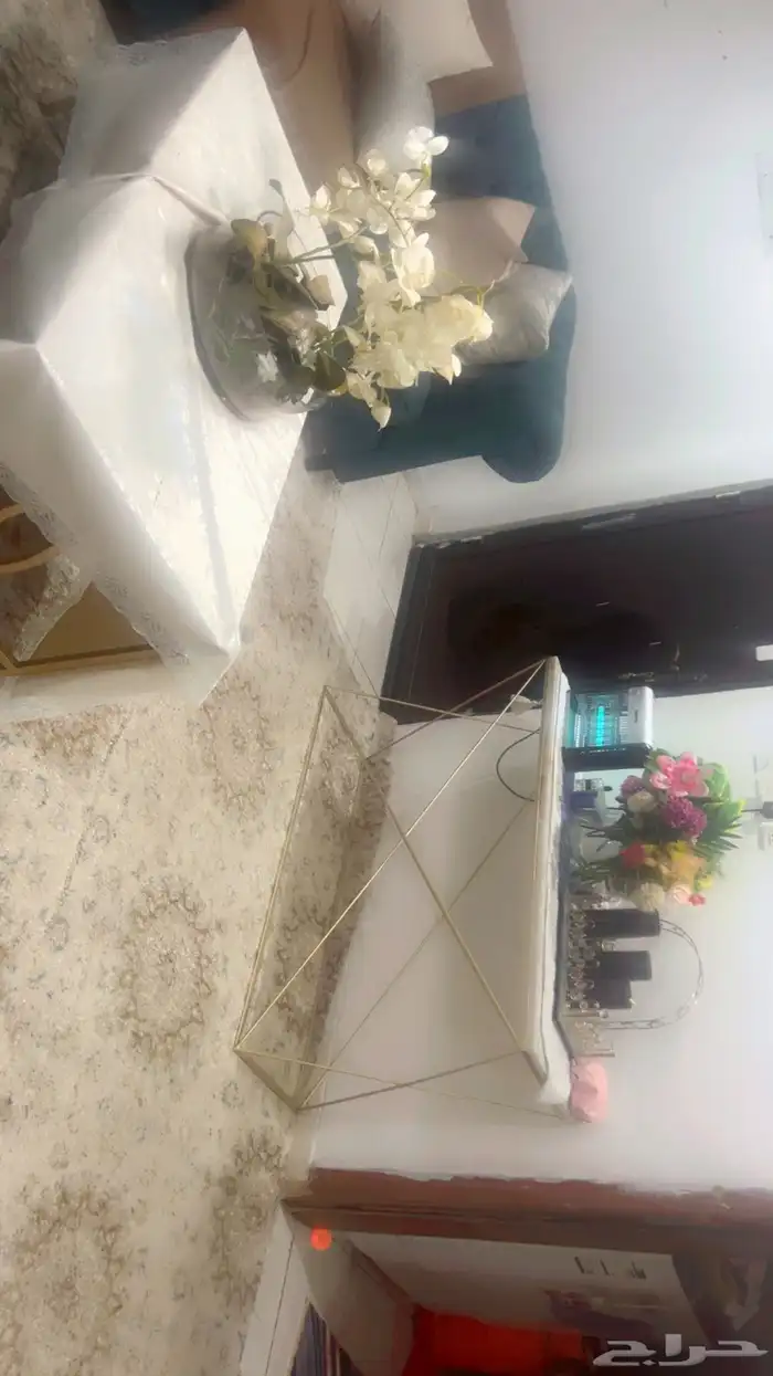 كان يكفي 10 أشخاص أربع قطع ما فيها أي عيب 1