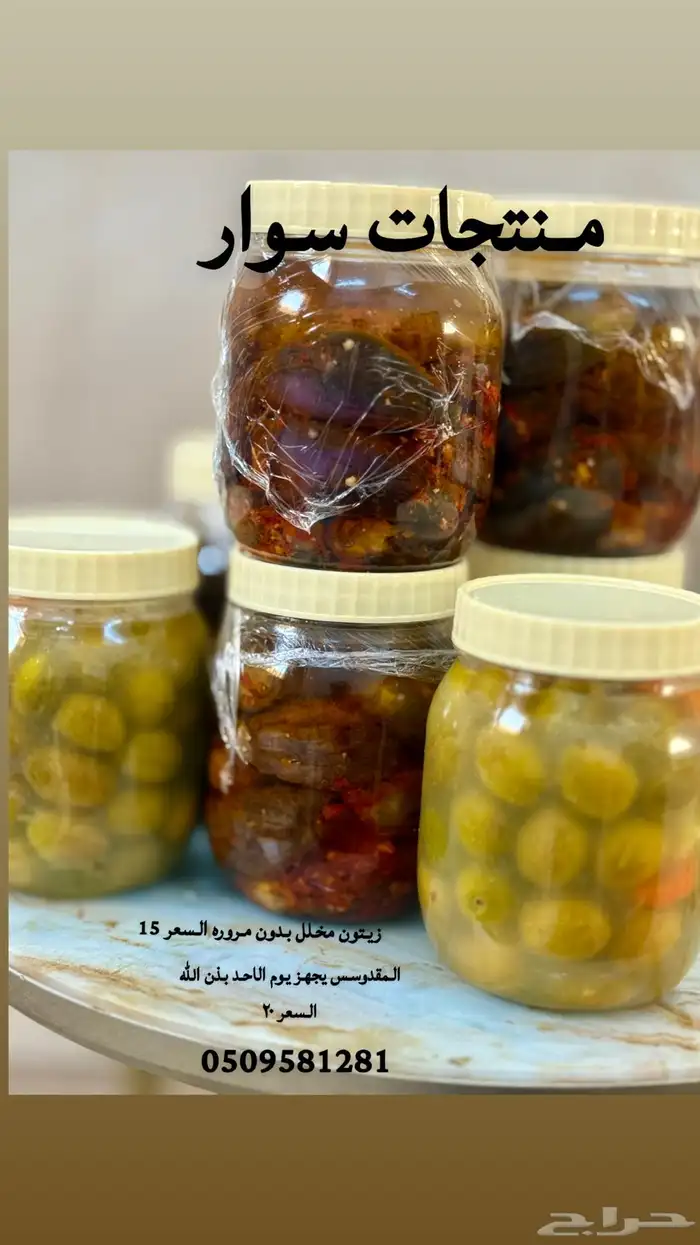 مقدوس زيتون مخلل 0