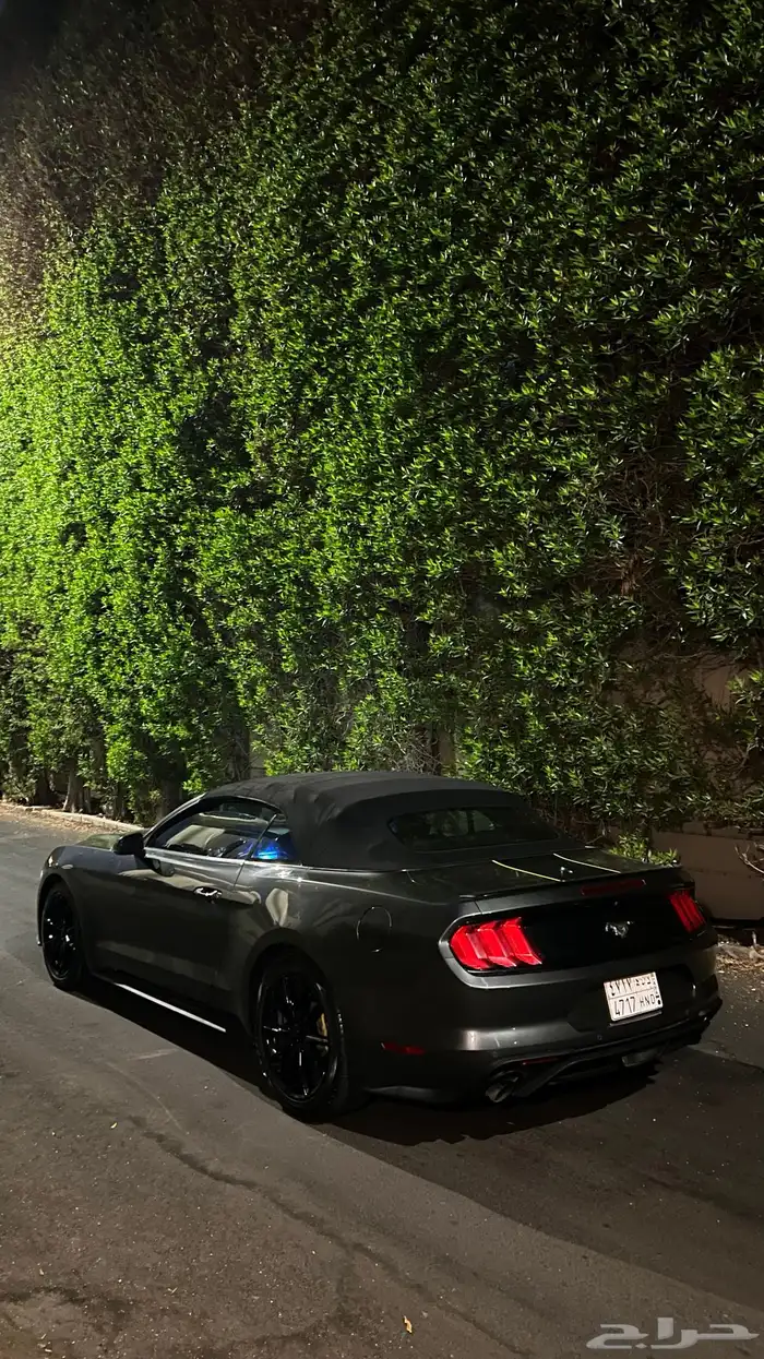 موستنق 2018 كشف مالك اول 18