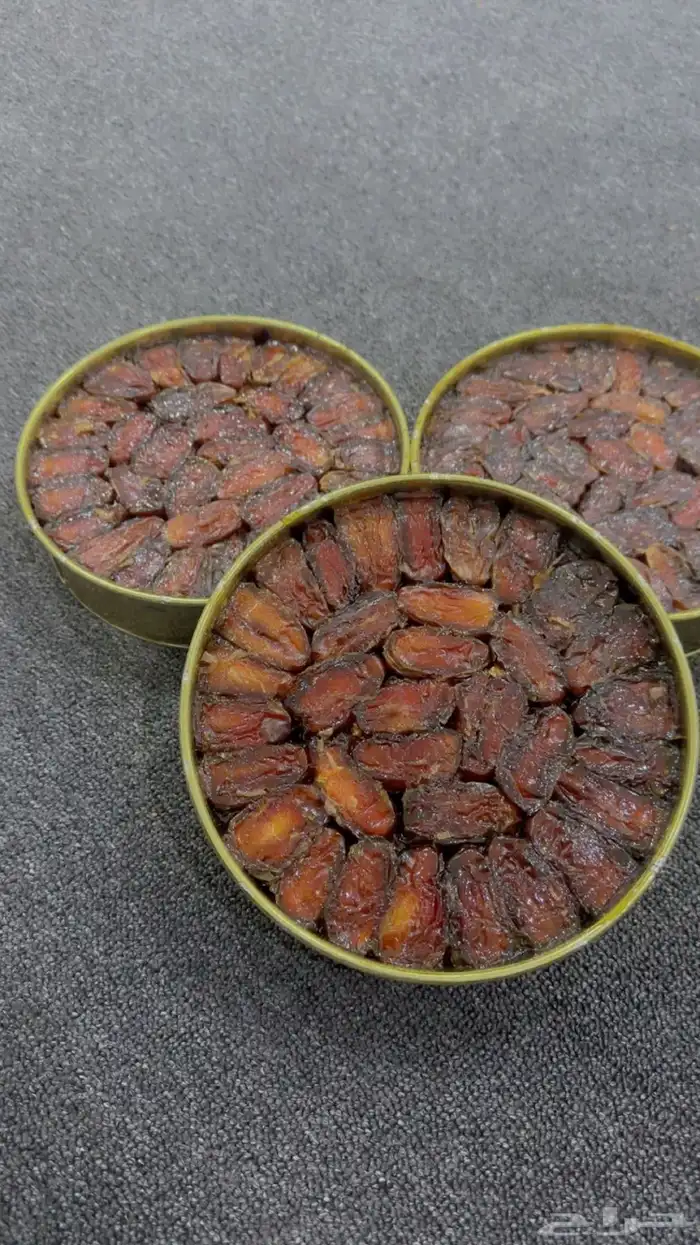 تمر صفري بيشه حبه كبير 0