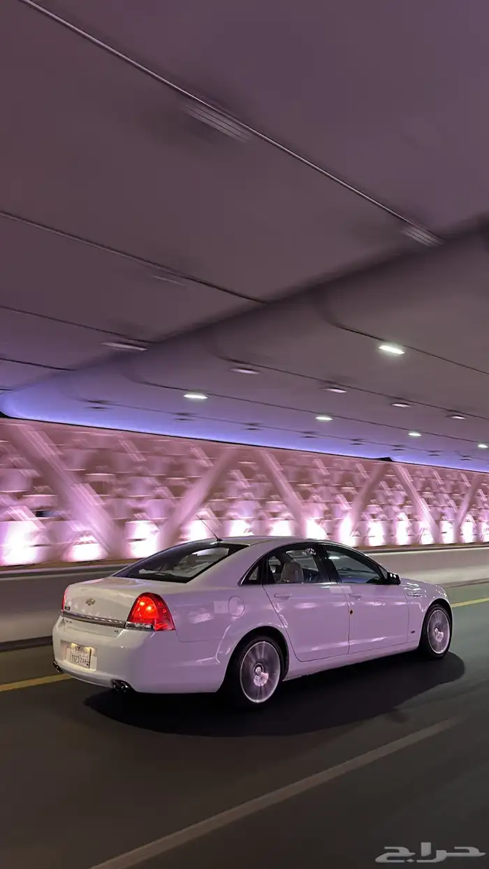 كابرس للبيع 2014 6