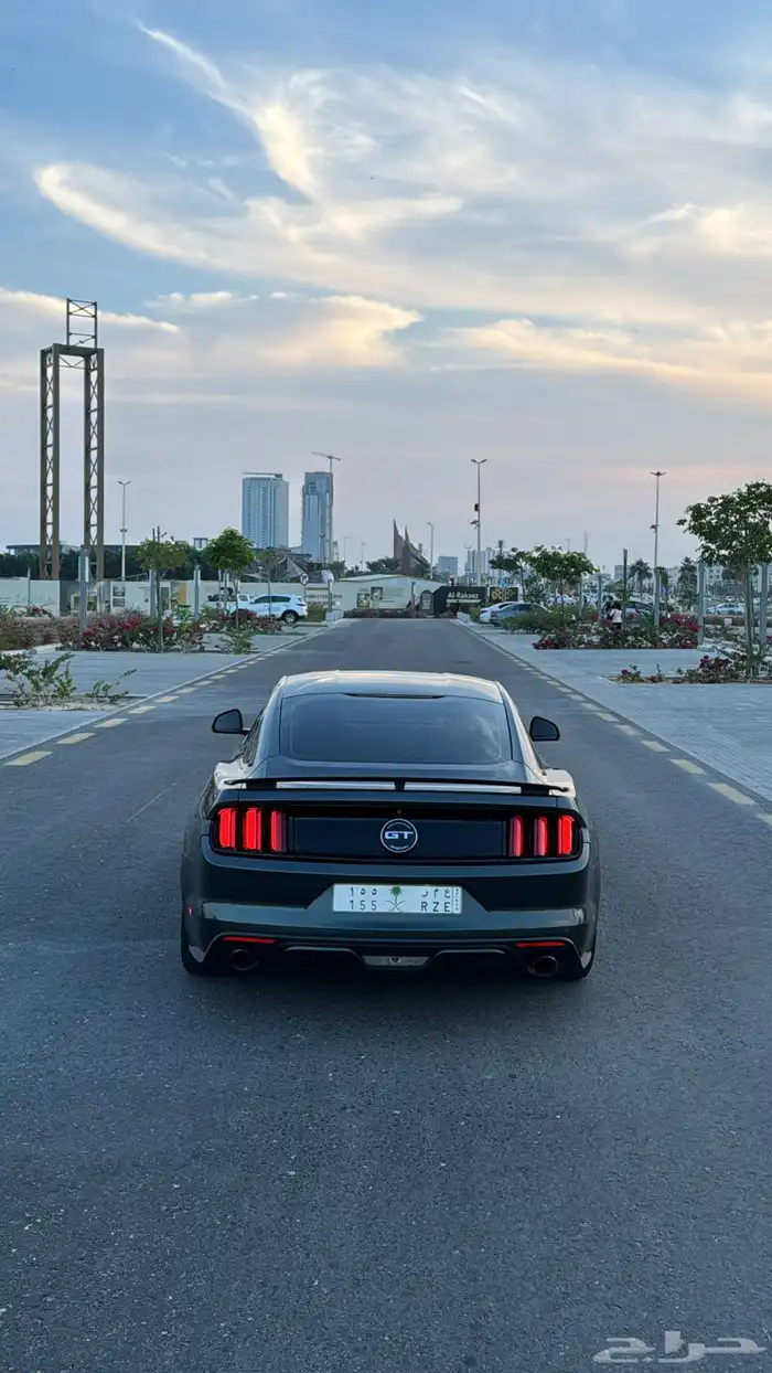 موستنق كاليفورنيا 2016 1