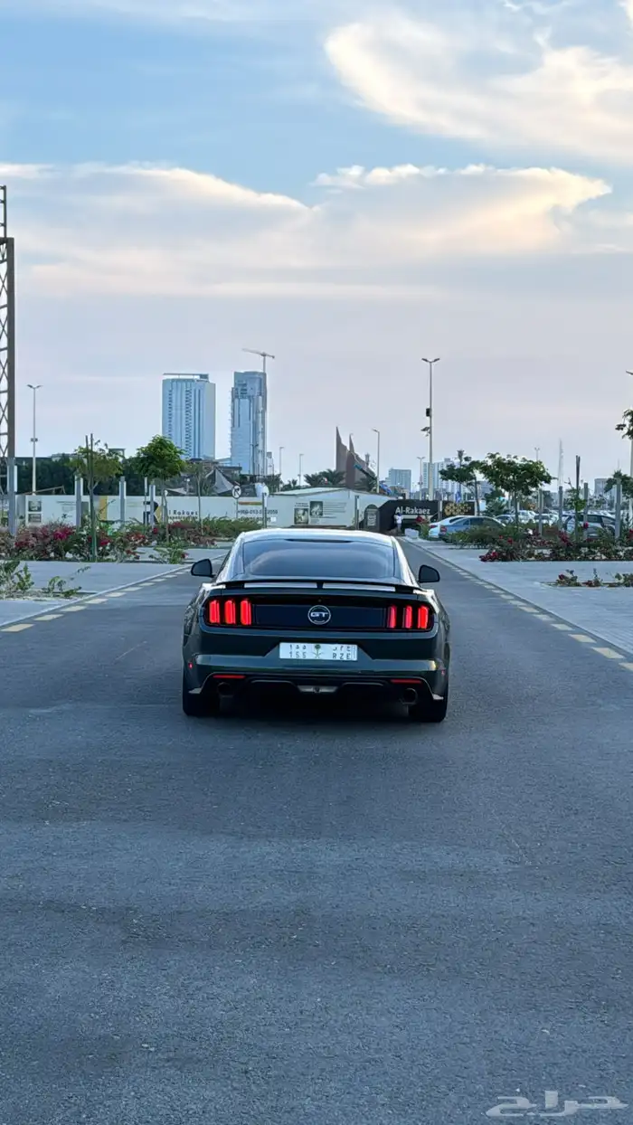 موستنق كاليفورنيا 2016 13