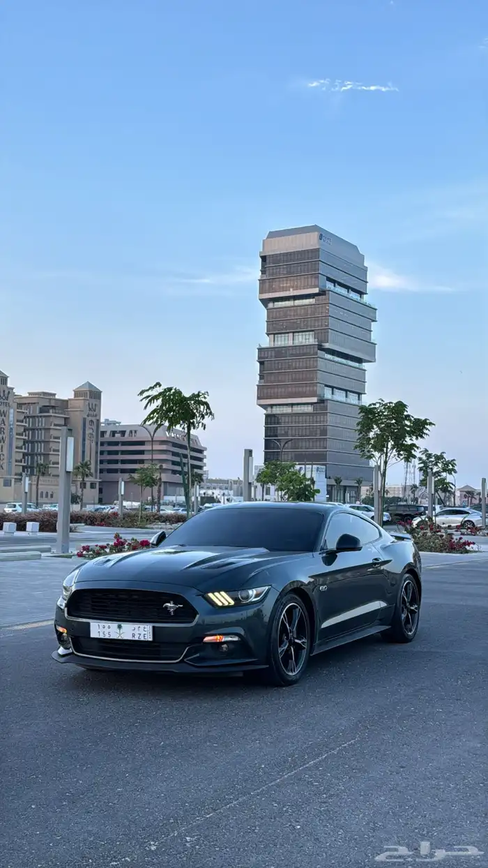 موستنق كاليفورنيا 2016 10