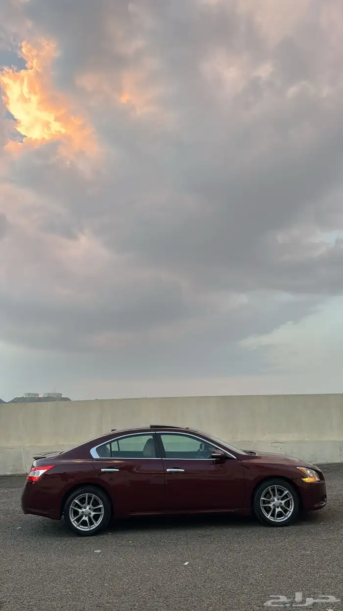 نسيان مكسيما 2009 1