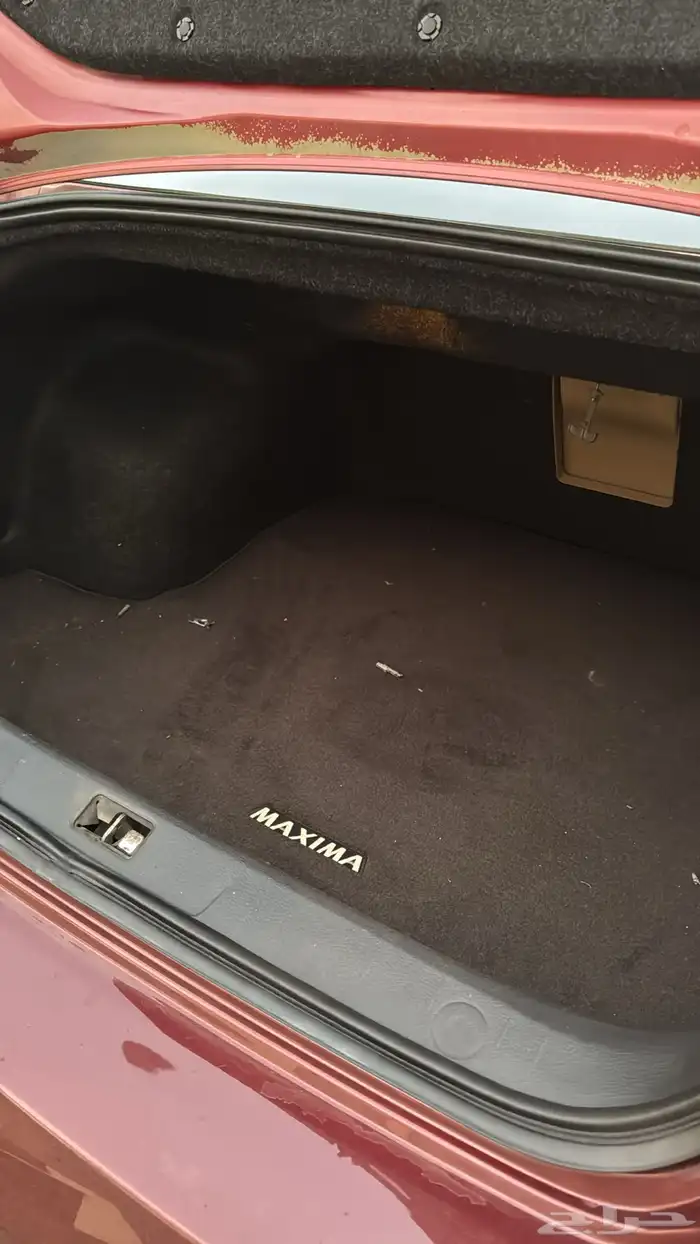 نسيان مكسيما 2009 34