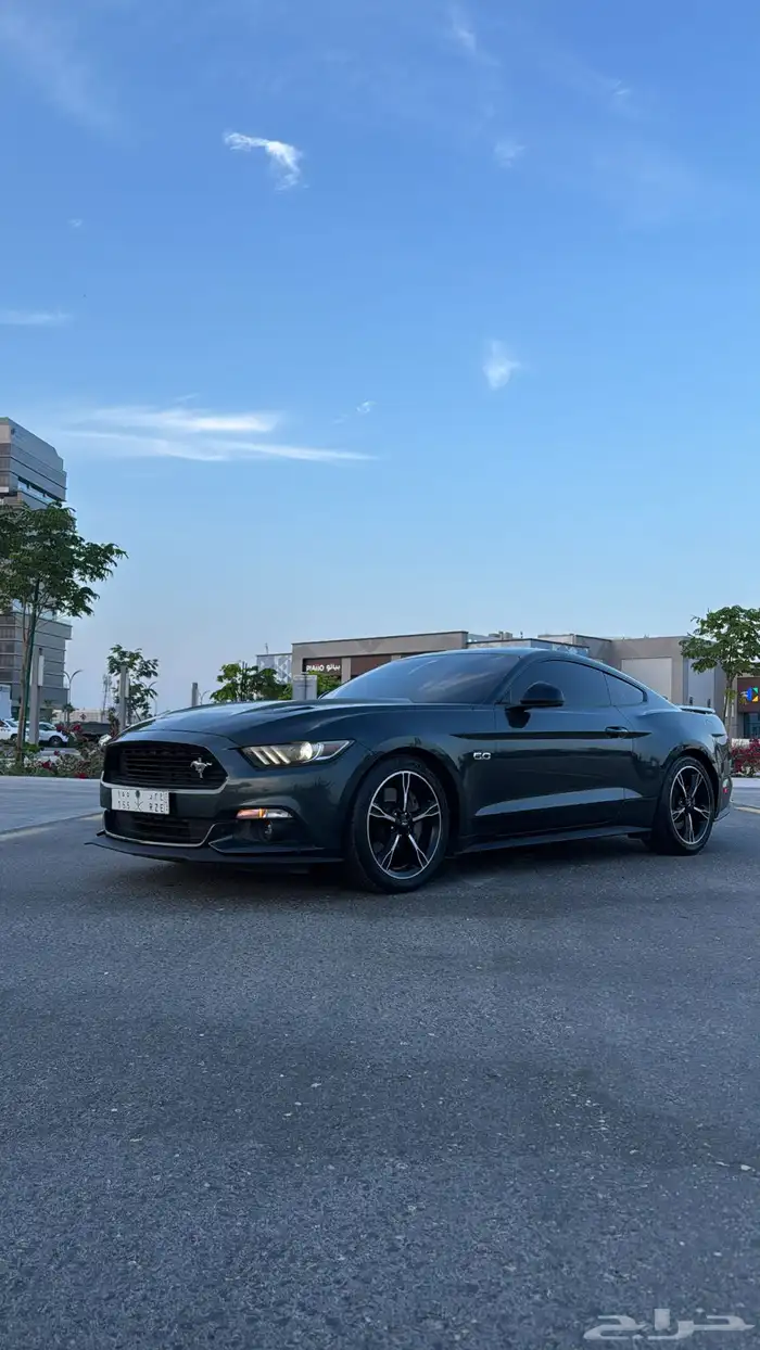 موستنق كاليفورنيا 2016 14