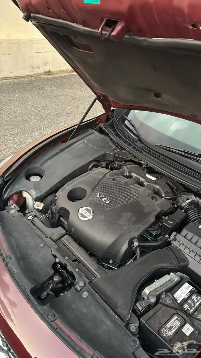 نسيان مكسيما 2009 36