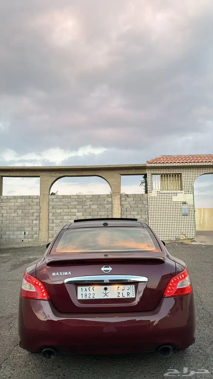 نسيان مكسيما 2009 5