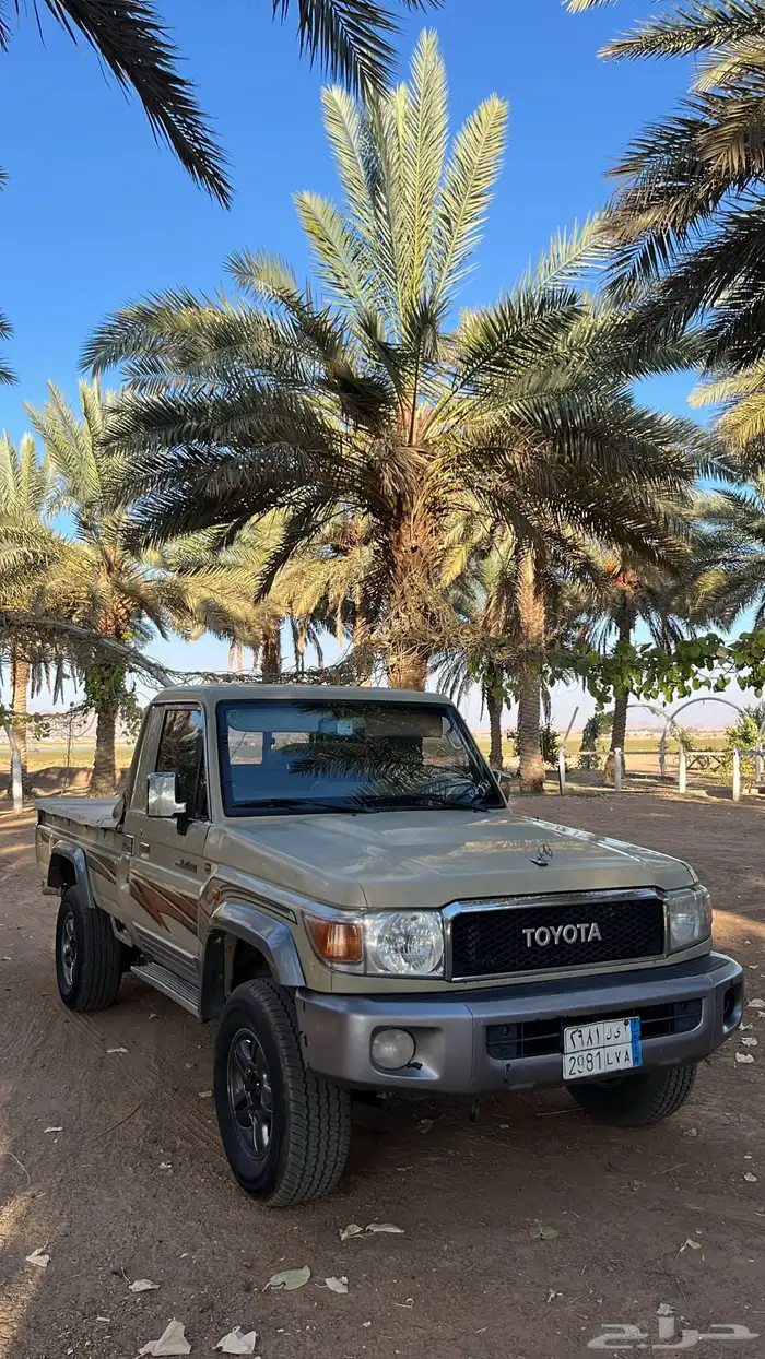 شاص2015فطيمي 1