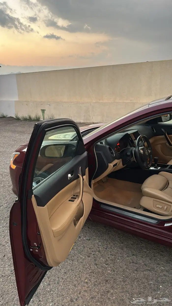 نسيان مكسيما 2009 17