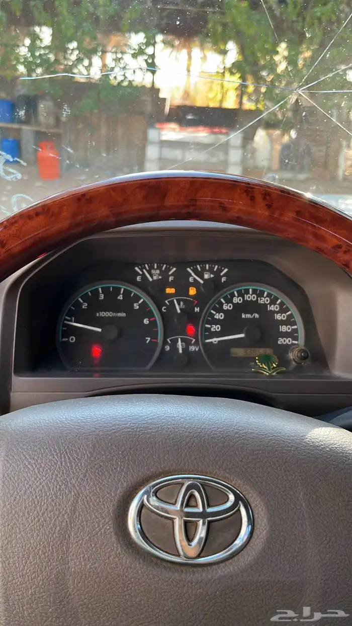 شاص2015فطيمي 5