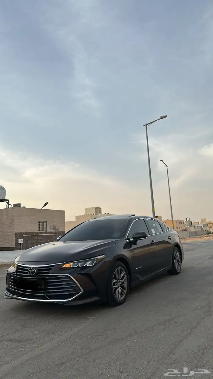 افالون 2019 15