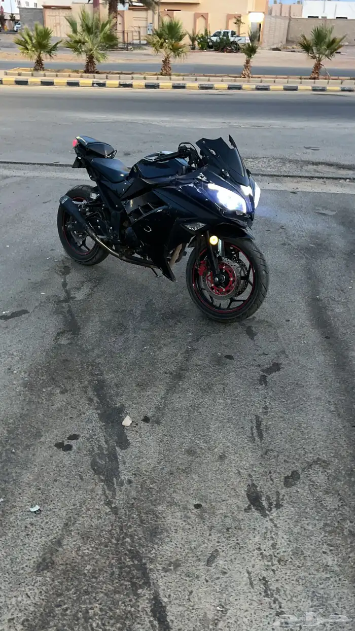 دباب ريس 250 1